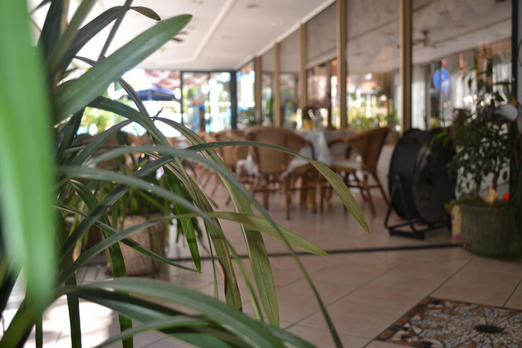 Hotel Alfredo'S Rimini Exterior foto